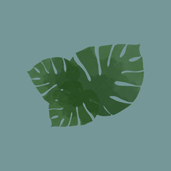 Beauriful monstera palm pattern, illustration
