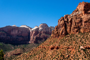Rock formations and beautiful landscape of zions national park in the south of utah