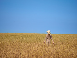 Naklejka na ściany i meble A blonde in a wheat field walks in a straw hat and a vertical striped dress.