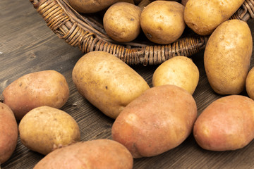 Potato tubers spilled out of a wicker basket lying on its side on a brown wooden plank, close-up