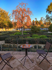 Tour em outono nos vinhedos, com vinícolas, jardins e museu que termina com uma degustação de vinhos - A Viña Santa Rita é uma das mais antigas e tradicionais vinhas do Chile