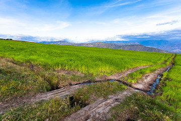 Andean landscape  extensive hillside crops