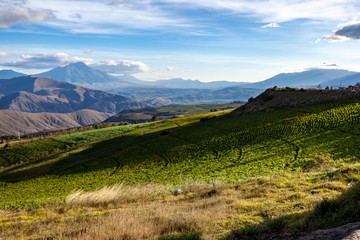 Andean landscape, province of Imbabura and Carchi, Ecuador