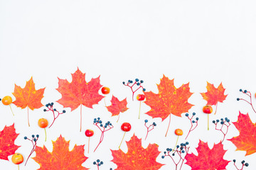 Flat lay border with colorful autumn leaves and berries on a white background