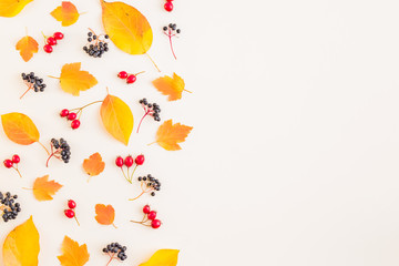 Flat lay border with colorful autumn leaves and berries on a white background