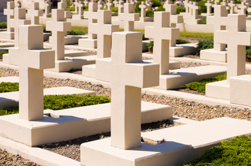 in the cemetery, white crosses stand in rows