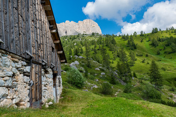 pasture on the dolomites