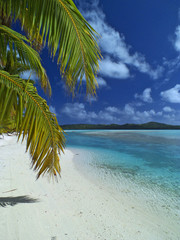 Beach Polynesia