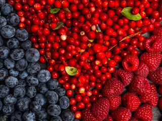 background made of raspberry, blueberry, cranberry. Top view. High resolution product, rich in vitamin and antioxidants, summer berries concept