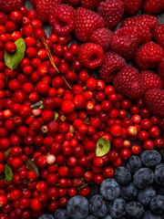 background made of raspberry, blueberry, cranberry. Top view. High resolution product, rich in vitamin and antioxidants, summer berries concept