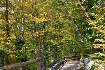 Landscape in the beautiful Plitvice National Park, in Croatia, in the fall