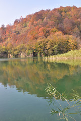 Landscape in the beautiful Plitvice National Park, in Croatia, in the fall