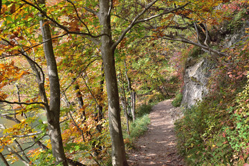 Landscape in the beautiful Plitvice National Park, in Croatia, in the fall