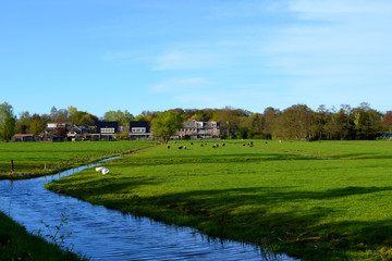 Back landscape of Groenekan village near Utrecht city.