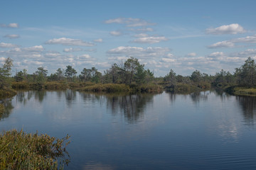 Obraz na płótnie Canvas Lakes of Yelnya swamp - National Landscape Reserve, Belarus
