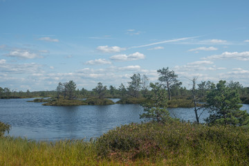 Lakes of Yelnya swamp - National Landscape Reserve, Belarus