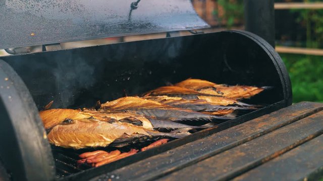 Smocked scomber cooking in the metal smokehouse.