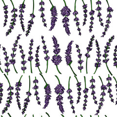 Botanical vector seamless pattern background with lavender flowers and branches. Perfect for wallpapers, web page backgrounds, surface textures, textile.