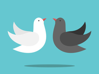 White, black doves couple