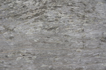 Oak 04