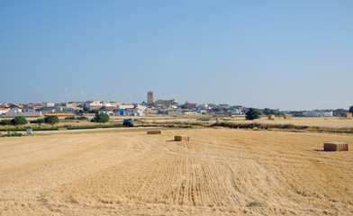 landscape with field