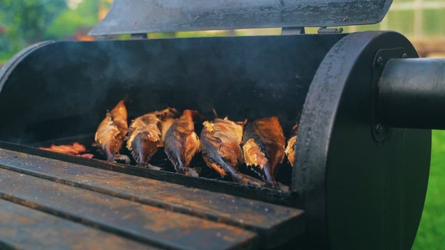 Smocked scomber cooking in the metal smokehouse.