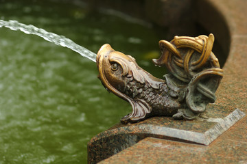 Closeup of a bronze fish statue, traditional fountain decoration