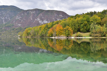 Fototapeta premium Landscape in Slovenia, in the fall, with colorful trees