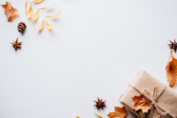 Autumn vibes, thanksgiving day present, seasonal sale concept. Fall composition, background made of dried leaves, pine cones and nuts on white. Copy space