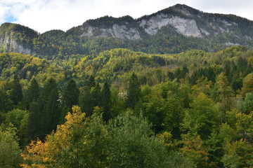 Fototapeta na wymiar Landscape in Slovenia, in the fall, with colorful trees