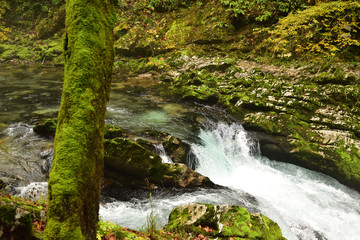 Landscape in Slovenia, in the fall, with colorful trees