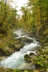 Landscape in Slovenia, in the fall, with colorful trees