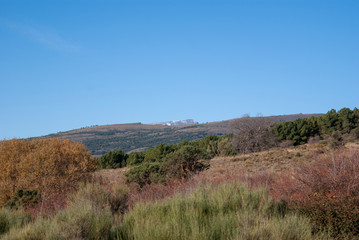 Sierra Nevada in its purest form