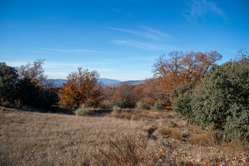 Sierra Nevada in its purest form