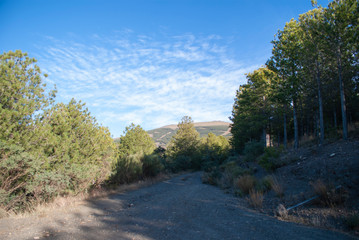 Sierra Nevada in its purest form