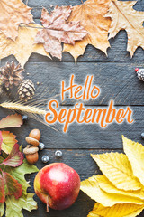 hello September card, Autumn composition from leaf