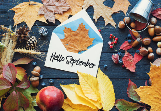 hello September card, Autumn composition from leaf