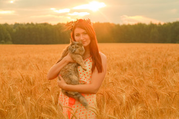 Fototapeta na wymiar Beautiful woman with cute cat walking in the wheat field at sunrise