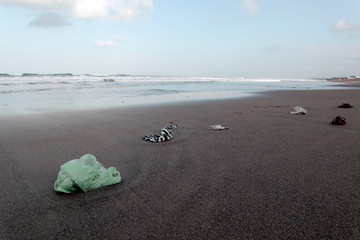 Plastics trash are everywhere