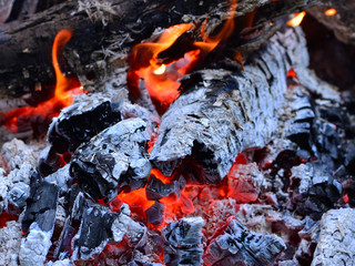 Fireplace fire and ashes texture