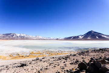 Laguna Blanca landscape,Bolivia