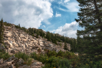 mountain landscape on a summer day