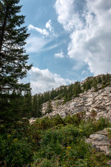 mountain landscape on a summer day