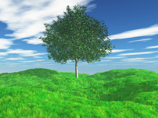 3D tree in grassy landscape