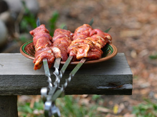 Fresh lamb meet on skewers in the garden