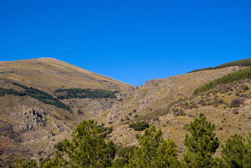 Sierra Nevada in its purest form (Spain)