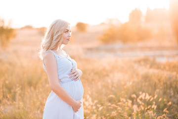 Pregnant woman 25-29 year old wearing elegant denim dress standing in meadow in sun light closeup. Summer time. Motherhood. Maternity. Healthy lifestyle. 20s.