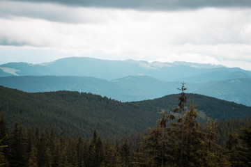 Forests on mountain slopes
