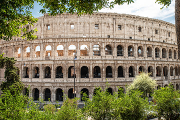 Fototapeta premium Colosseum In Rome, Italy