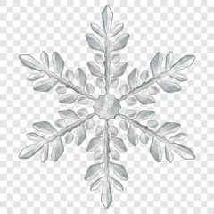 Fotobehang Big complex translucent Christmas snowflake in gray colors for use on light background. Transparency only in vector format © Olga Moonlight
